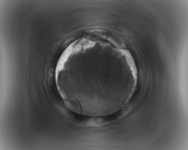 X0000084050271200703092058