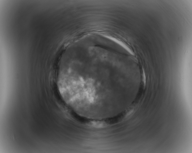 X0000084050272200703092058