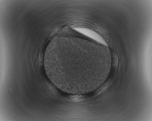 X0000084050273200703092058