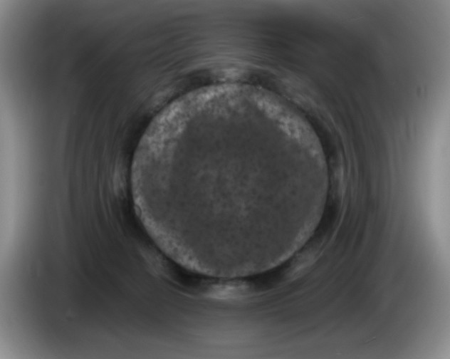 X0000084050274200703092058