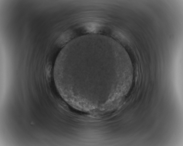 X0000084050275200703092058