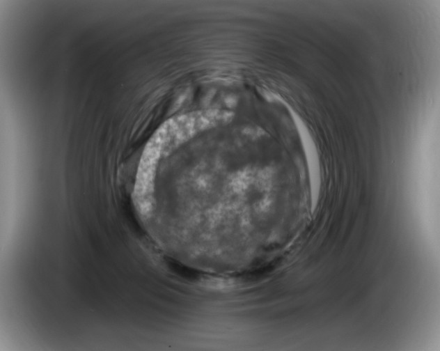 X0000084050276200703092058