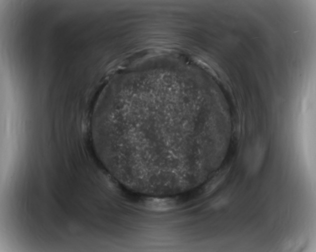 X0000084050277200703092058