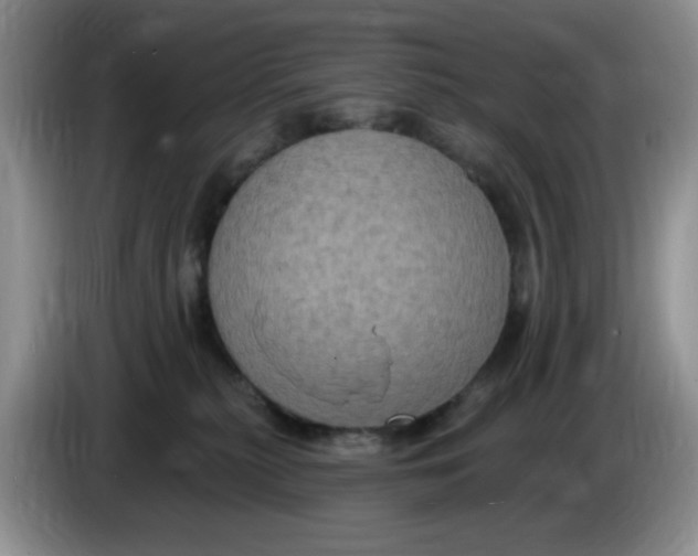 X0000084050279200703092058