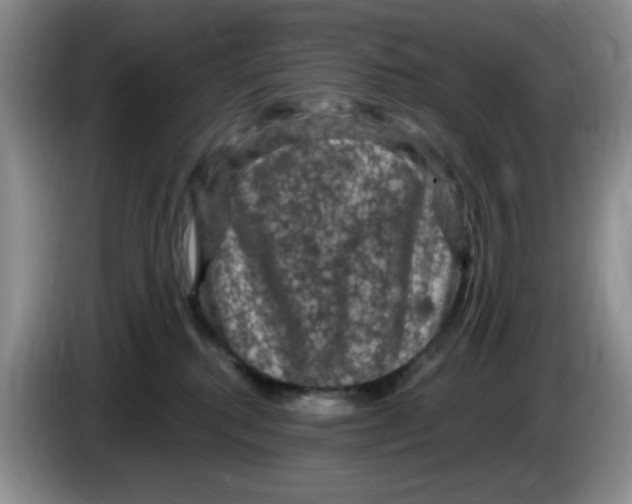 X0000084050280200703092058