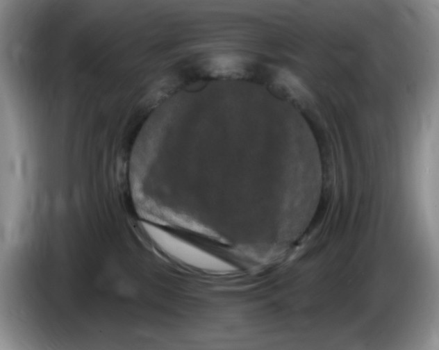 X0000084050281200703092059