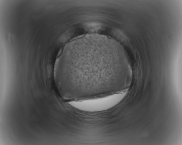 X0000084050283200703092059