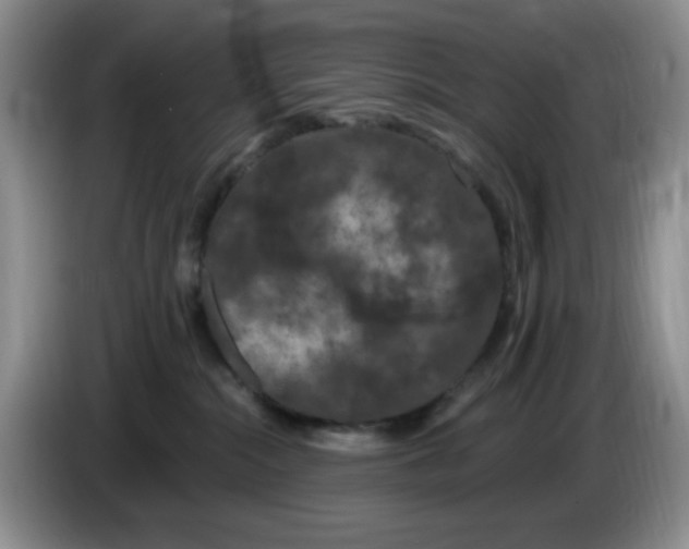 X0000084050284200703092059