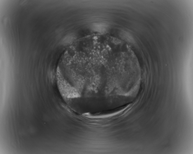 X0000084050285200703092059