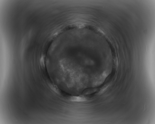 X0000084050286200703092059