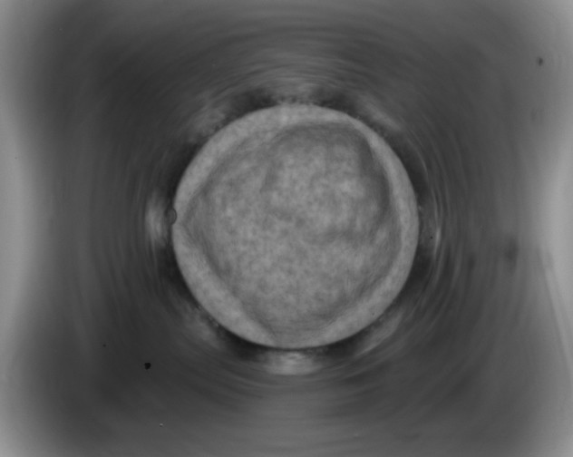 X0000084050287200703092059