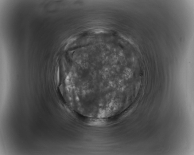 X0000084050288200703092059