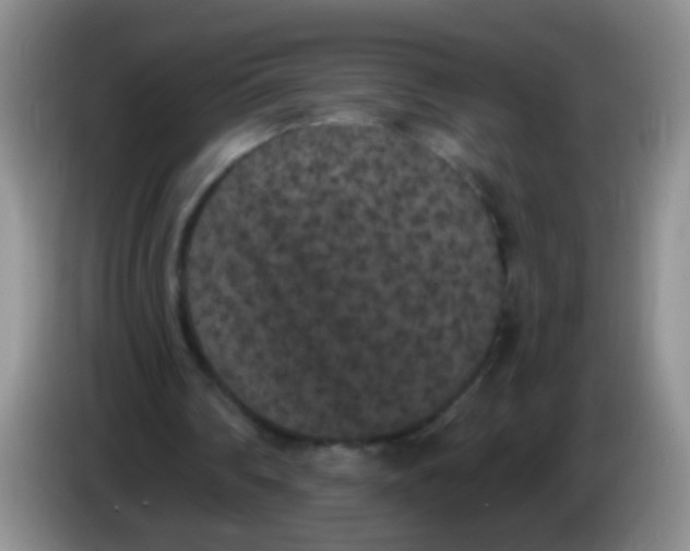 X0000084050290200703092058