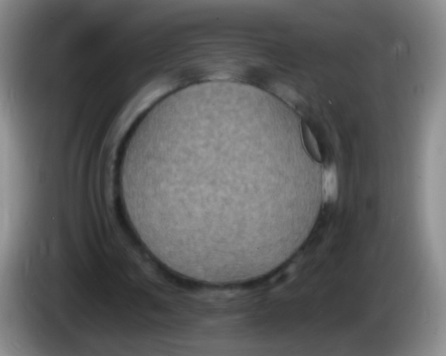 X0000084050291200703092058