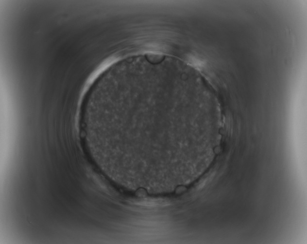 X0000084050292200703092058