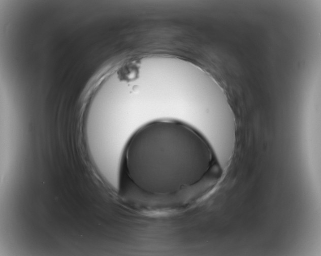 X0000084050293200703092058