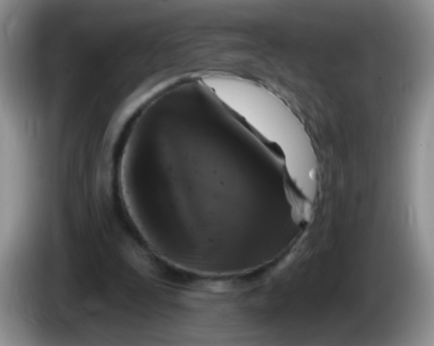 X0000084050295200703092058