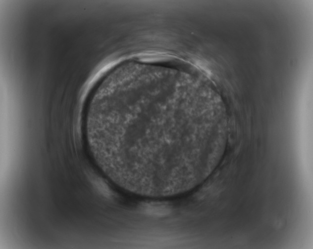 X0000084050296200703092058