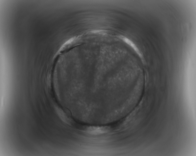 X0000084050297200703092058