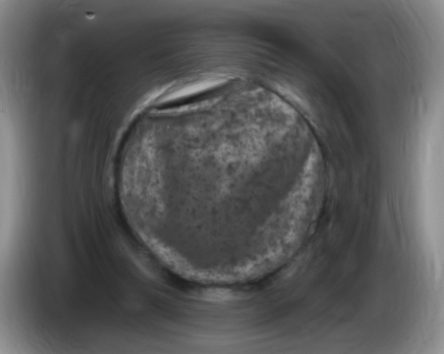 X0000084050298200703092058