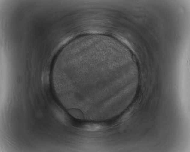 X0000084050299200703092058