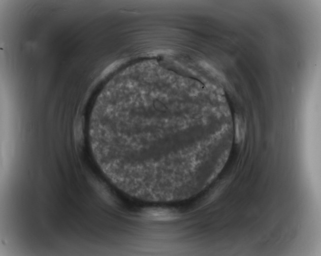 X0000084050300200703092058