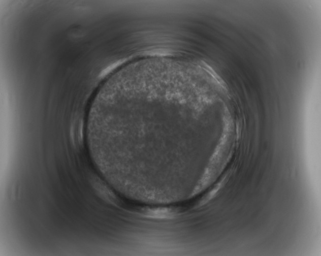 X0000084050301200703092058