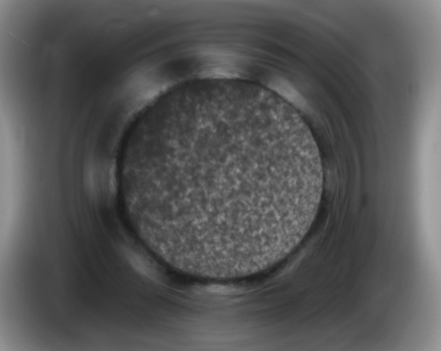 X0000084050302200703092058