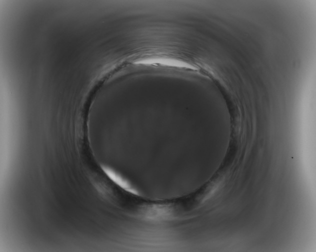 X0000084050303200703092058