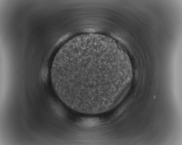 X0000084050304200703092058