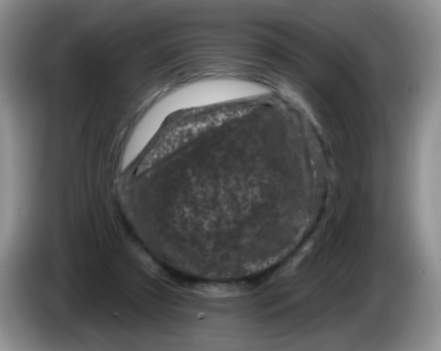 X0000084050305200703092058