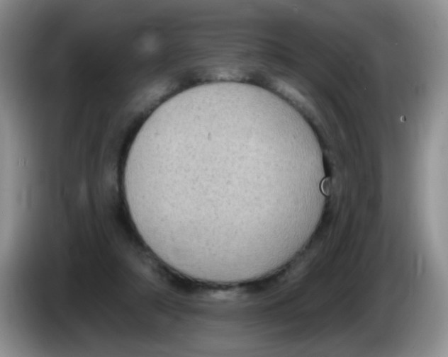 X0000084050306200703092058