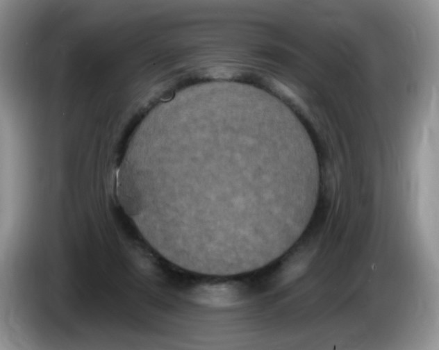 X0000084050307200703092058