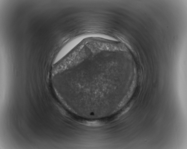 X0000084050309200703092058