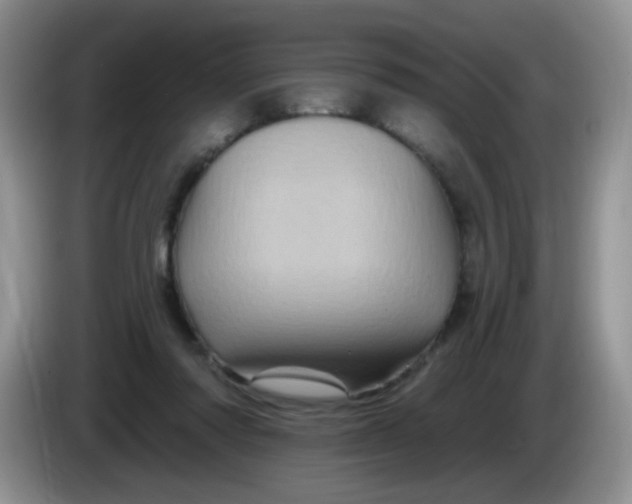 X0000084050310200703092058