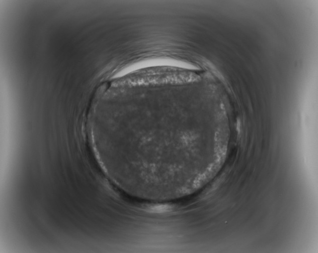 X0000084050313200703092058