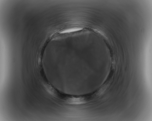 X0000084050314200703092058