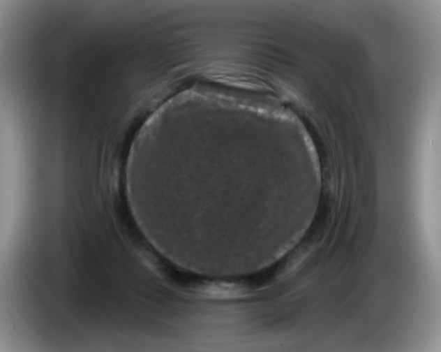 X0000084050315200703092058