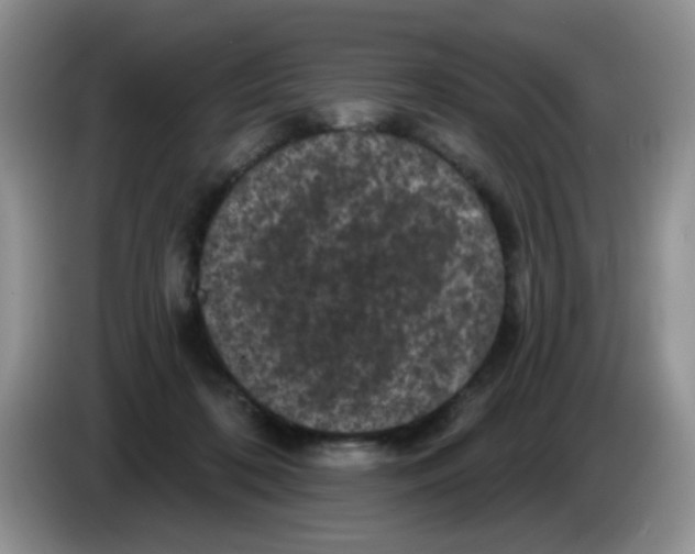 X0000084050316200703092058