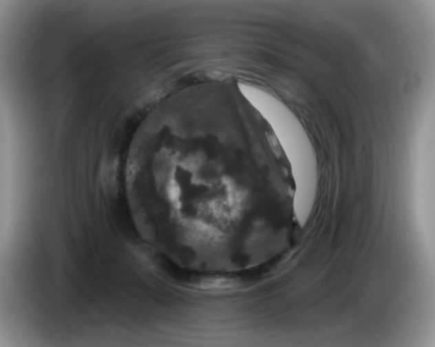 X0000084050319200703092058