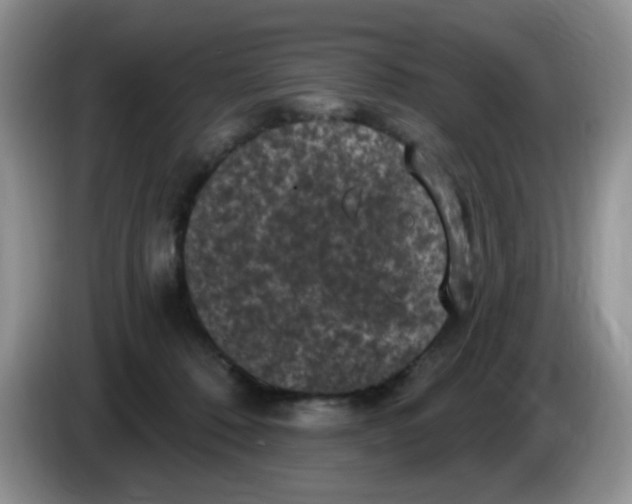 X0000084050320200703092058