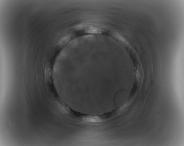 X0000084050322200703092058