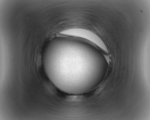 X0000084050323200703092058