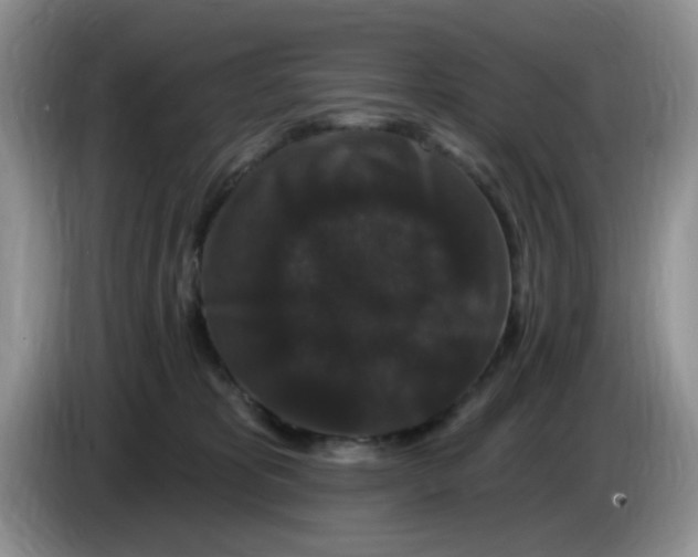 X0000084050325200703092057