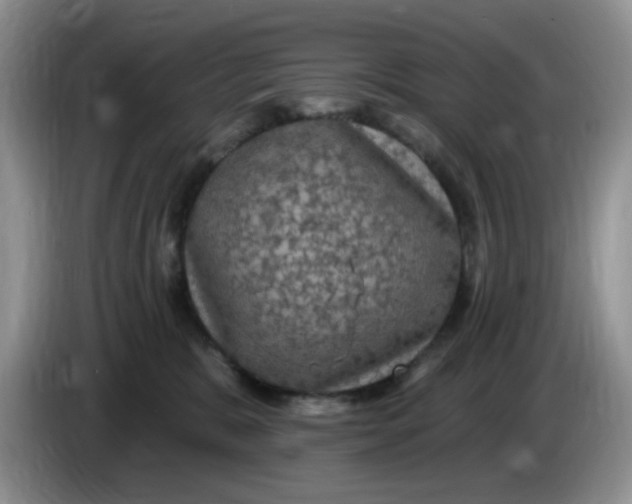 X0000084050327200703092057