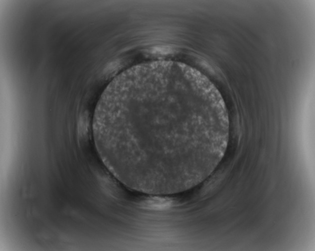 X0000084050328200703092057