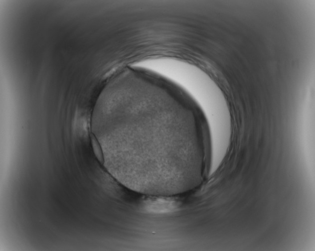 X0000084050329200703092057