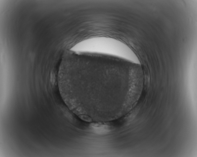 X0000084050331200703092057