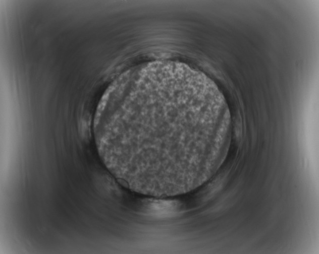 X0000084050332200703092057