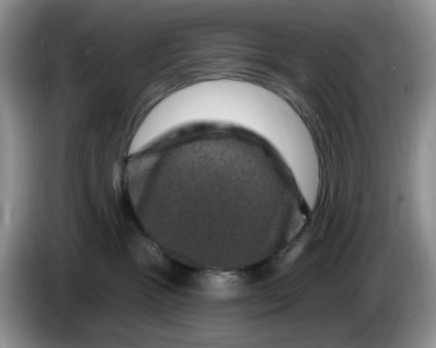 X0000084050333200703092057